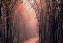 天涯论坛的老用户速看！新手如何注册激活天涯论坛账号，一起天南海北无所不谈！