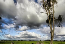 天涯论坛的老用户速看！新手如何注册激活天涯论坛账号，一起天南海北无所不谈！